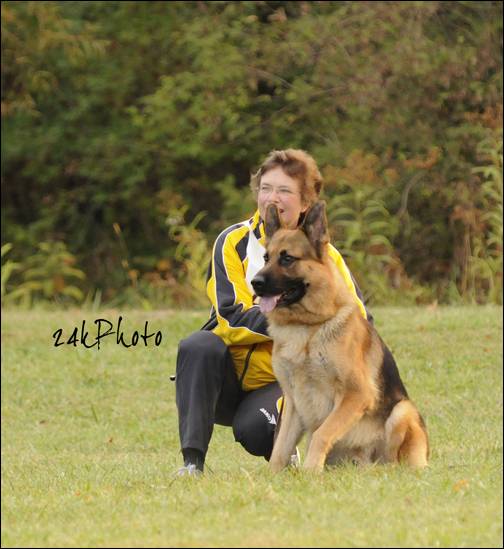 Kirchenwald best sale german shepherds