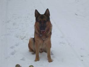 kaline 12-19-09