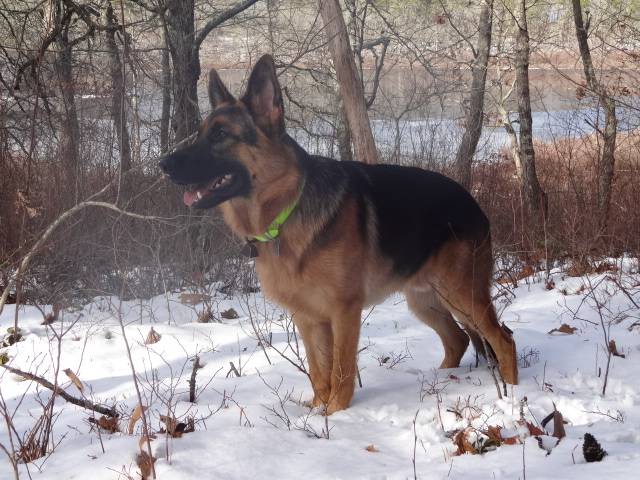 1-19-13 Aiden at 9 months old 105