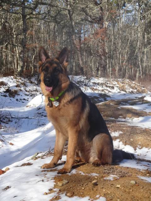 1-19-13 Aiden at 9 months old 181