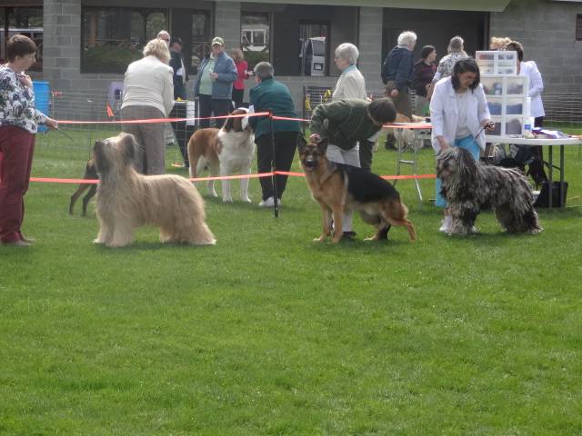 4-27-13 UKC Show 067