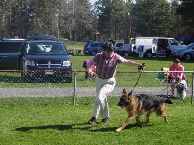 4-28-13 UKC Show  (51)