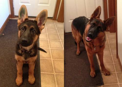 then and now, 10 mo.