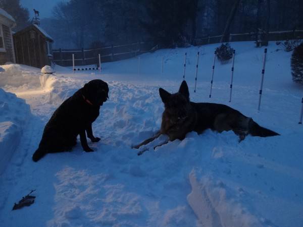 1. 1-3-14   Dylan and Aiden - 1st snow storm of 2014