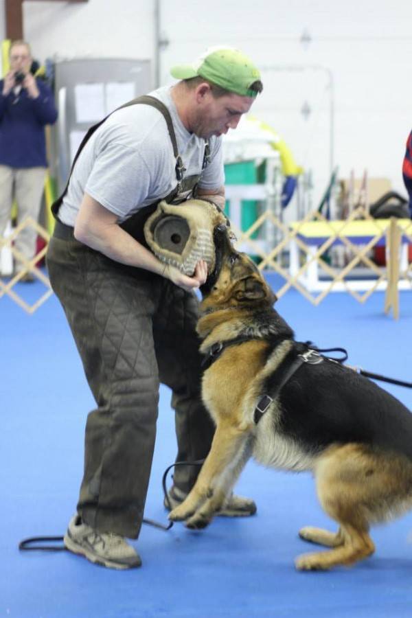 3. 1-11-14 Aiden - Protection training with Scott (12)