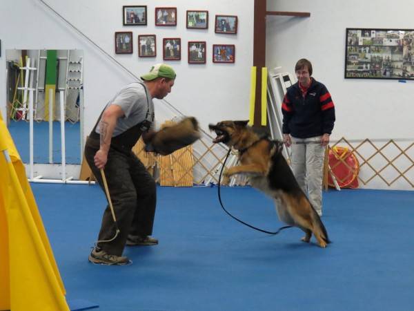 3. 1-11-14 Aiden - Protection training with Scott (4)