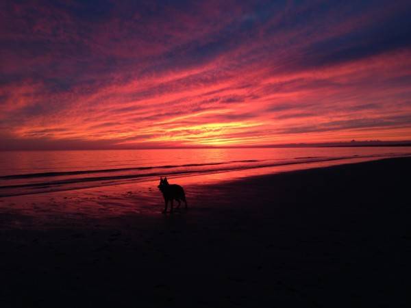 6. 1-15-14 Aiden - sunset on Bank St. Beach (1)