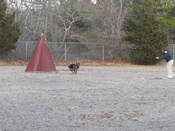 3-8-14 Training 048