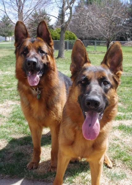 Ember and Cabrera say "Happy Easter" and they are glad that it is spring!