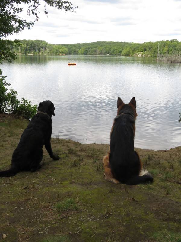 8-29-14 Lincoln Woods State Park, RI (32)