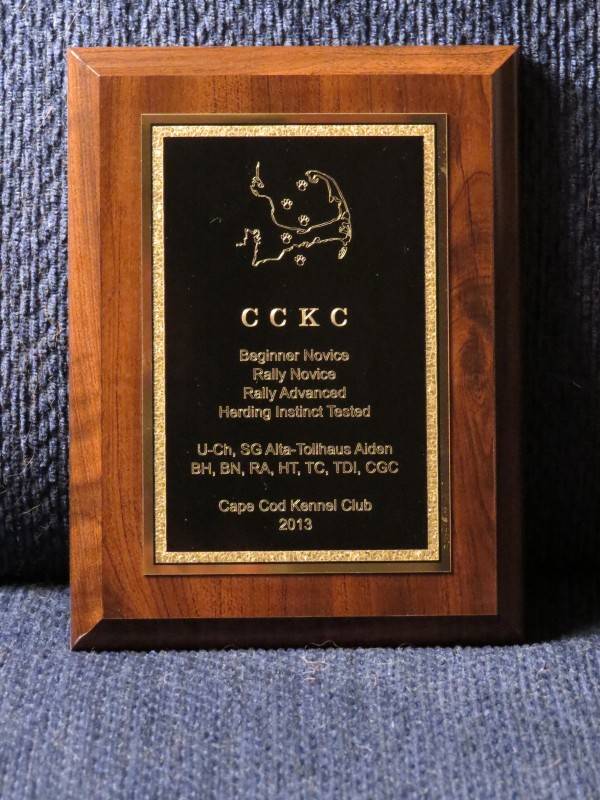 4. 1-13-14 Aiden's award plaque from the CCKC