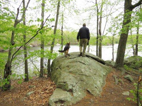 5-13-17 Lincoln Woods State Park (96)